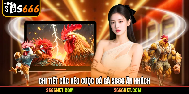 Chi tiết các kèo cược đá gà S666 ăn khách