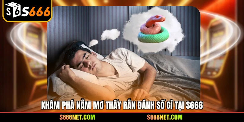 Khám phá nằm mơ thấy rắn đánh số gì tại S666