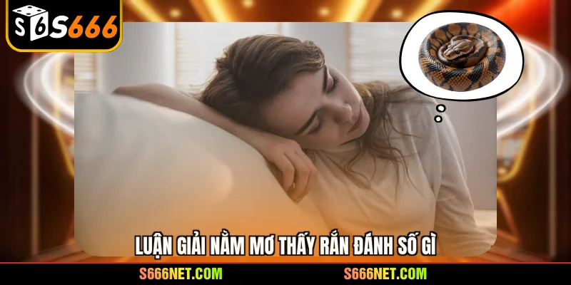 Luận giải nằm mơ thấy rắn đánh số gì