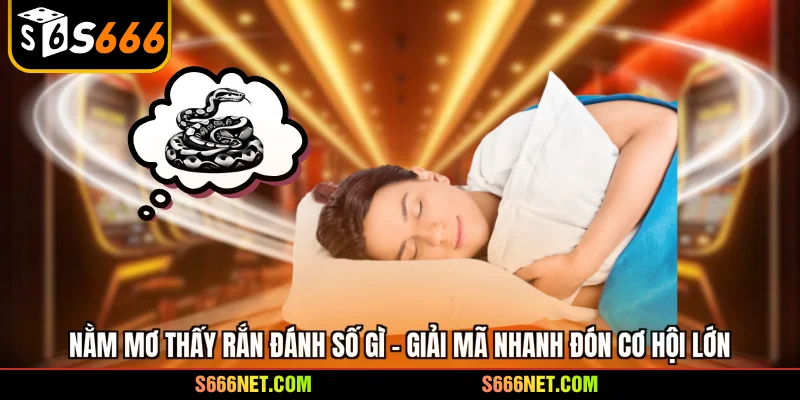 Nằm mơ thấy rắn đánh số gì - Giải mã nhanh đón cơ hội lớn