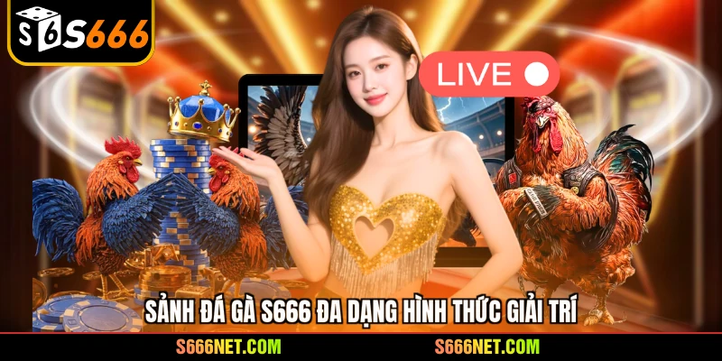 Sảnh Đá gà S666 đa dạng hình thức giải trí