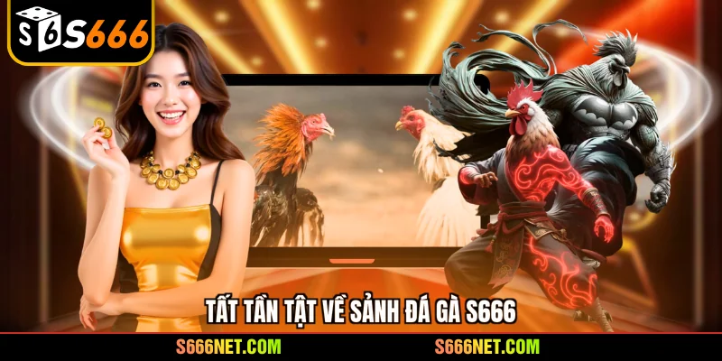 Tất tần tật về sảnh Đá gà S666