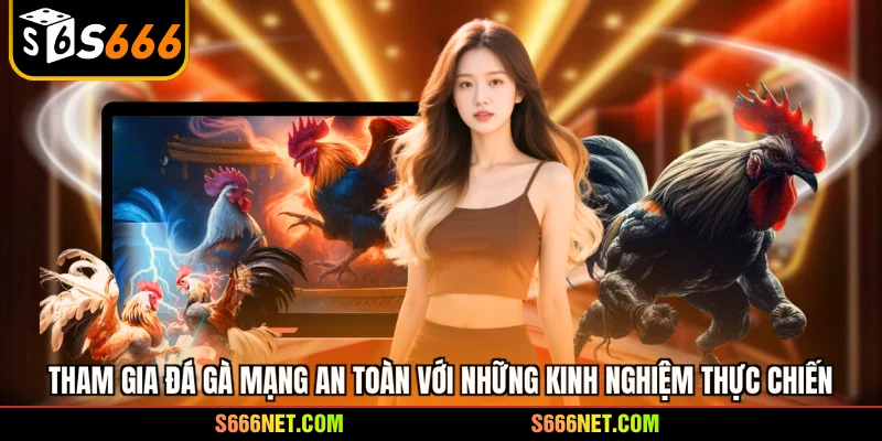 Tham gia đá gà mạng an toàn với những kinh nghiệm thực chiến