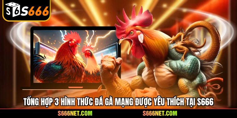 Tổng hợp 3 hình thức đá gà mạng được yêu thích tại S666