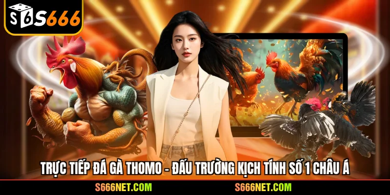Trực tiếp đá gà Thomo - Đấu trường kịch tính số 1 châu Á