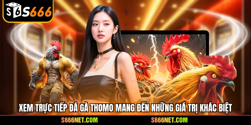 Xem trực tiếp đá gà Thomo mang đến những giá trị khác biệt